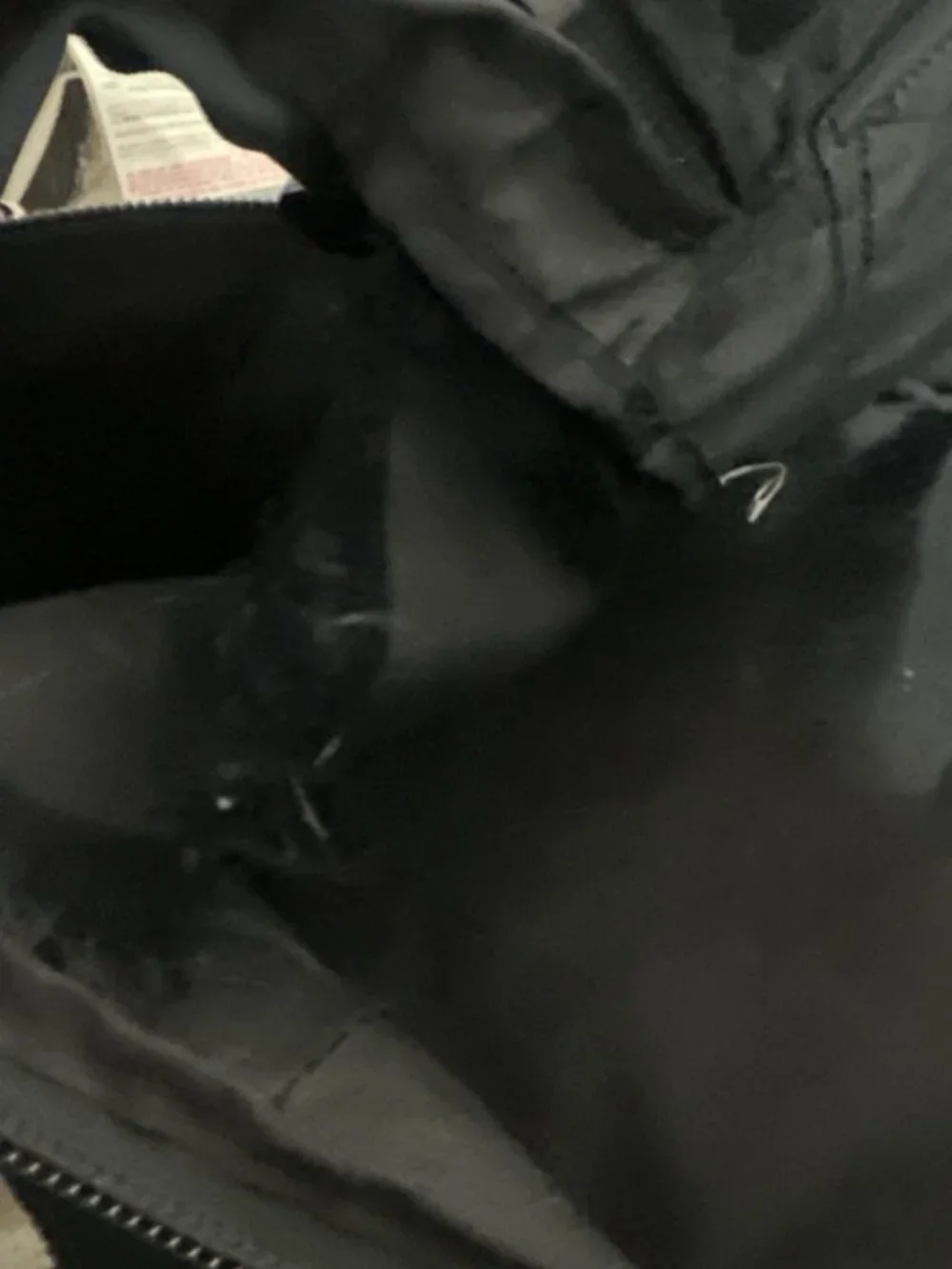 Harley-Davidson has rip